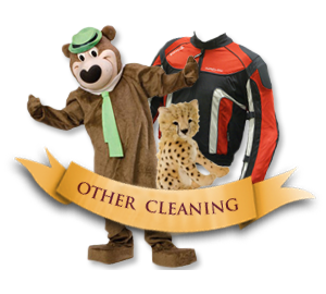other_cleaning